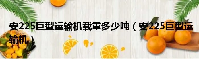 安225巨型运输机载重多少吨（安225巨型运输机）