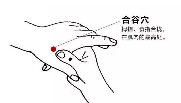 合谷的准确位置图和作用