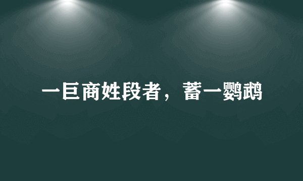 一巨商姓段者，蓄一鹦鹉