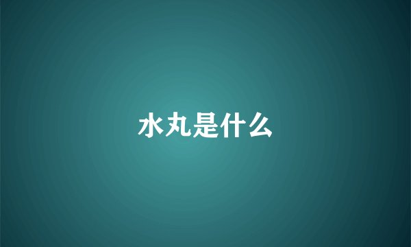 水丸是什么