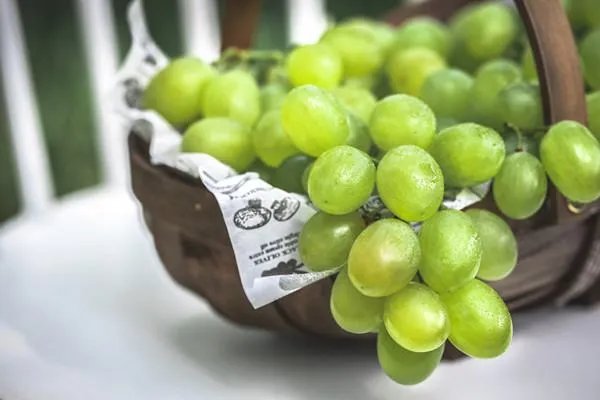 宿州的特产有哪些?