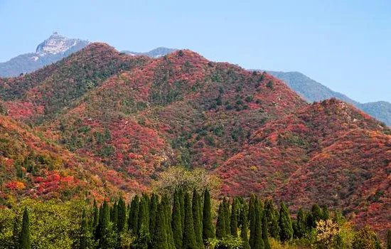 济源旅游景点大全排名，哪些值得去？