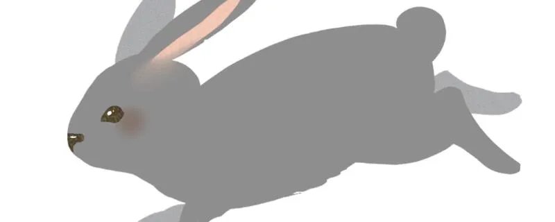 1987年属什么 1987年是什么命