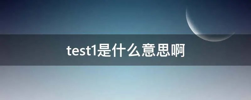test1是什么意思啊