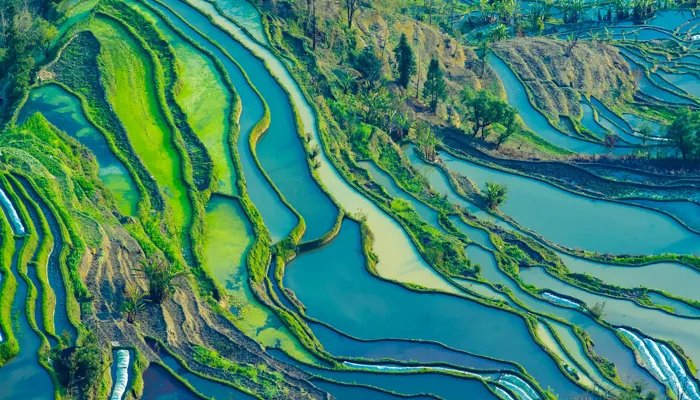 2022春节放假安排时间表(有调休) 2022年春节放假安排调休