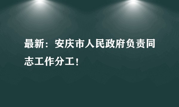 最新：安庆市人民政府负责同志工作分工！
