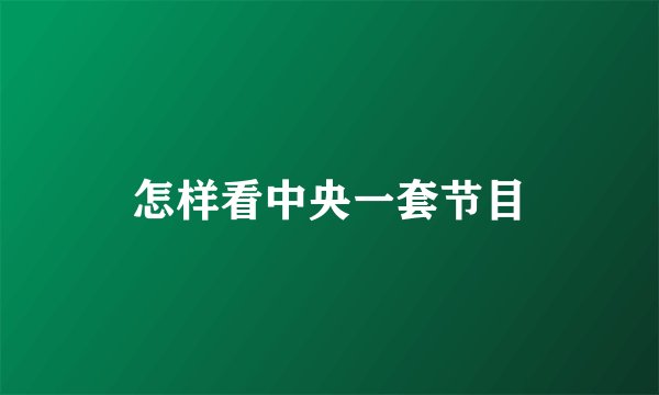 怎样看中央一套节目