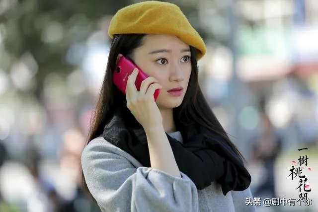 电视剧《一树桃花开》，相比盛开，为啥狄英最后能治服罗耀辉母？