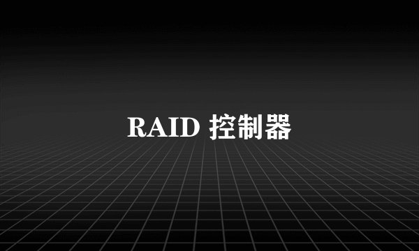 RAID 控制器