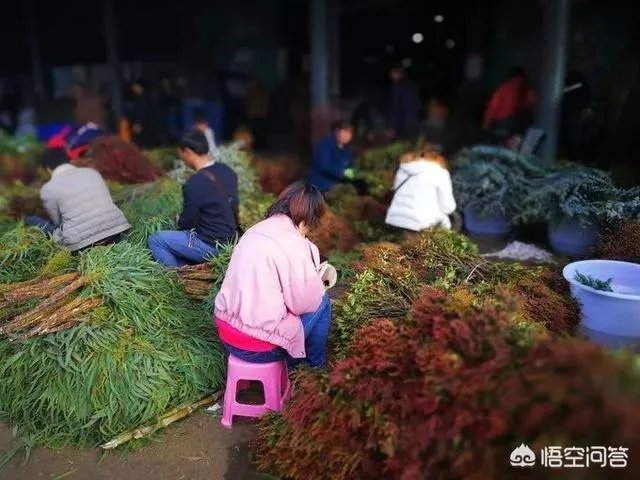 云南有哪些大的鲜花市场？