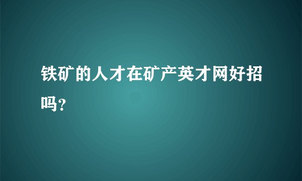 铁矿的人才在矿产英才网好招吗？