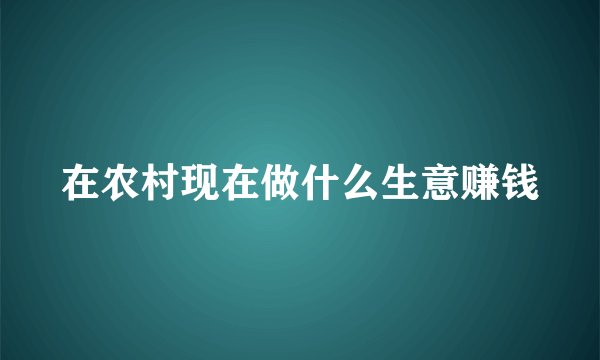 在农村现在做什么生意赚钱