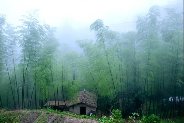 十大ppt背景音乐 适合做PPT的背景音乐推荐