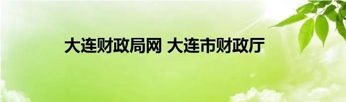 大连财政局网 大连市财政厅