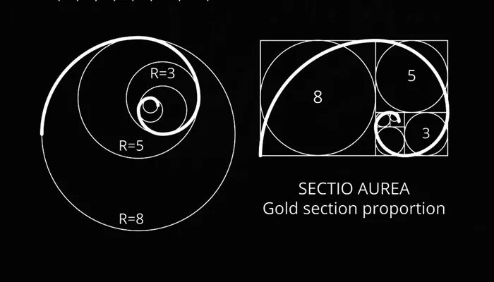 黄金分割比例 黄金分割比例是几比几