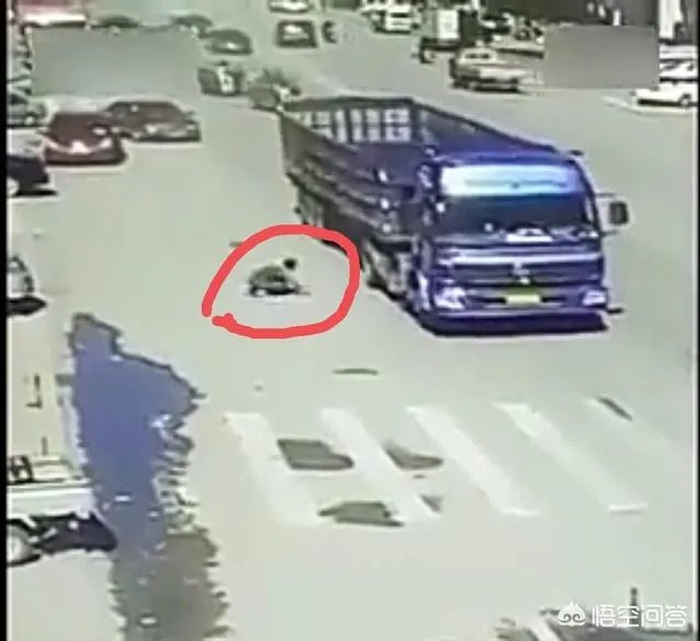 碰瓷失败被压死