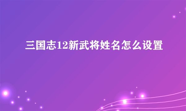 三国志12新武将姓名怎么设置