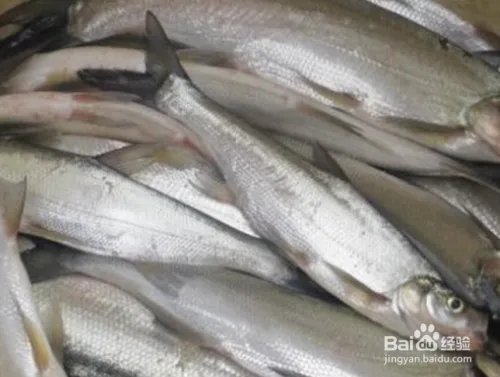 做什么生意最赚钱?