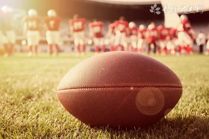 大茶药的功效与作用