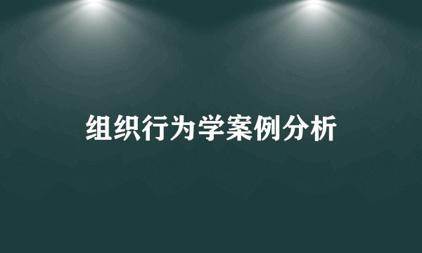 组织行为学案例分析