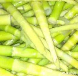 苦竹笋有什么功效？