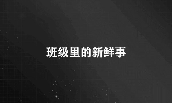 班级里的新鲜事