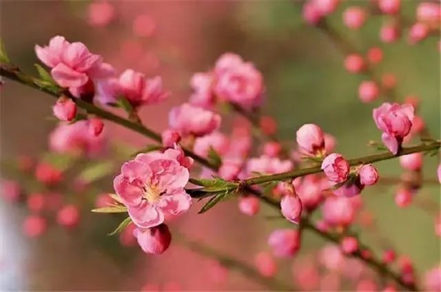 昆明，你就是个P！