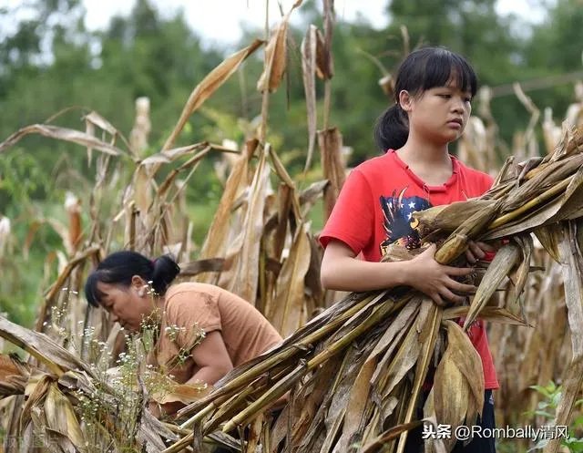 西南交通大学取消陈玉钰保研资格,保研成绩存在弄虚作假,而且其父母都在西南交大任职,对此你怎么看?