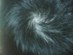 防脱发洗发水哪个好?