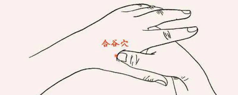 合谷的准确位置图和作用