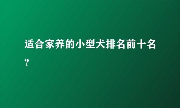 适合家养的小型犬排名前十名？