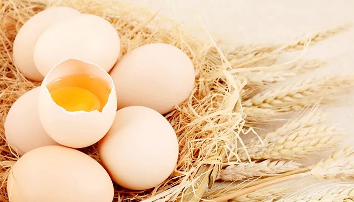 鸡蛋煮几分钟能熟 鸡蛋煮多久能熟