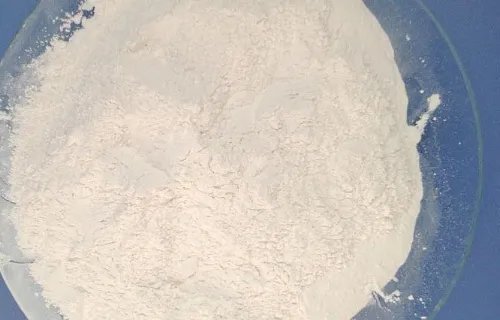 木聚糖酶的作用