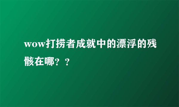 wow打捞者成就中的漂浮的残骸在哪？？