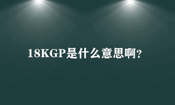 18KGP是什么意思啊？