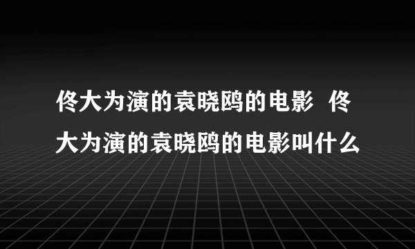佟大为演的袁晓鸥的电影  佟大为演的袁晓鸥的电影叫什么