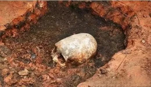 外星人长什么样子真实图片 最真实的外星人照片