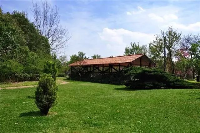 昆明，你就是个P！