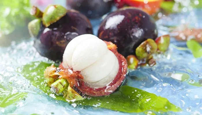 山竹是什么意思 什么是山竹