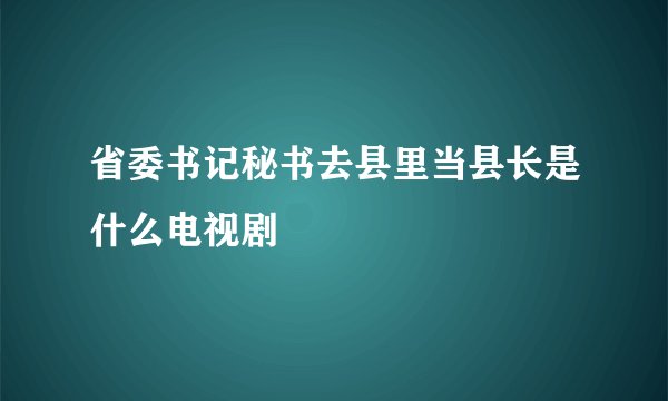 省委书记秘书去县里当县长是什么电视剧