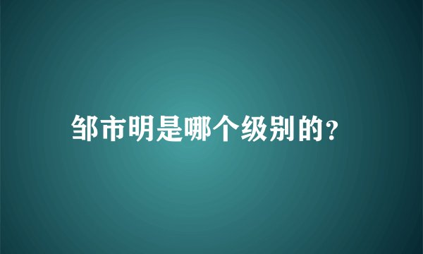 邹市明是哪个级别的？