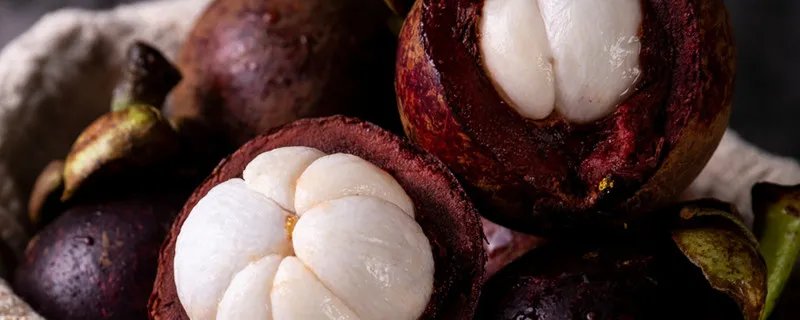 山竹是什么意思 什么是山竹