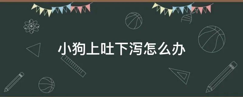 小狗上吐下泻怎么办