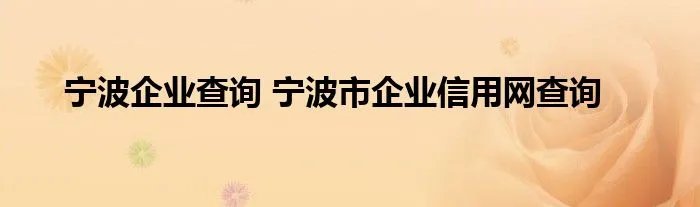 宁波企业查询 宁波市企业信用网查询