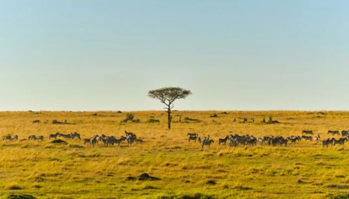 南非的首都在哪 南非的首都在什么地方