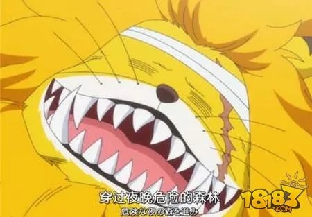 海贼王765集预告 去见猫蝮蛇大人