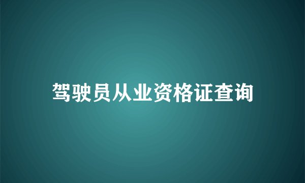 驾驶员从业资格证查询