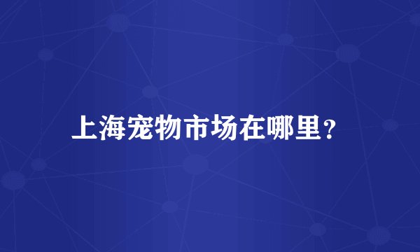 上海宠物市场在哪里？
