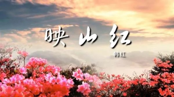 映山红的歌词是什么？
