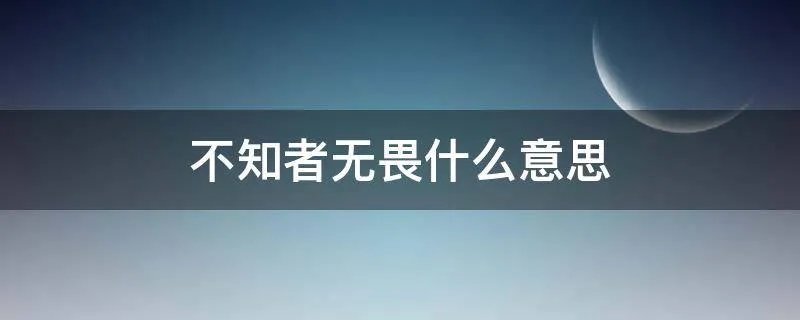 不知者无畏什么意思